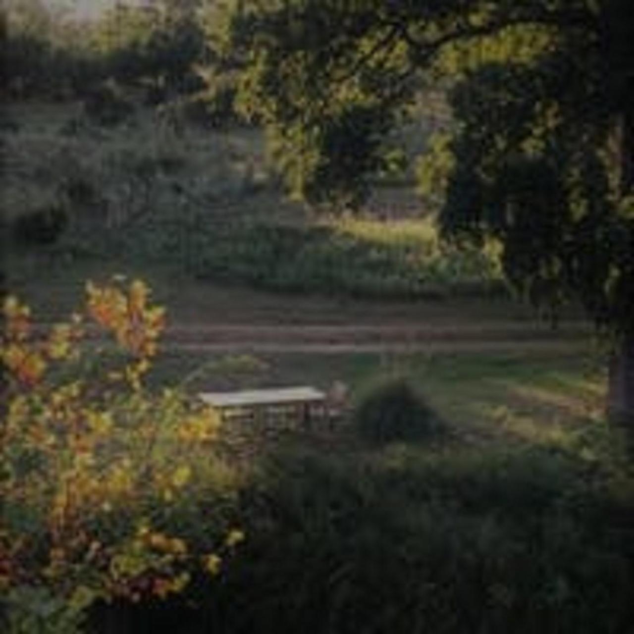 City On A Hill At Spring Creek Fredericksburg Kültér fotó