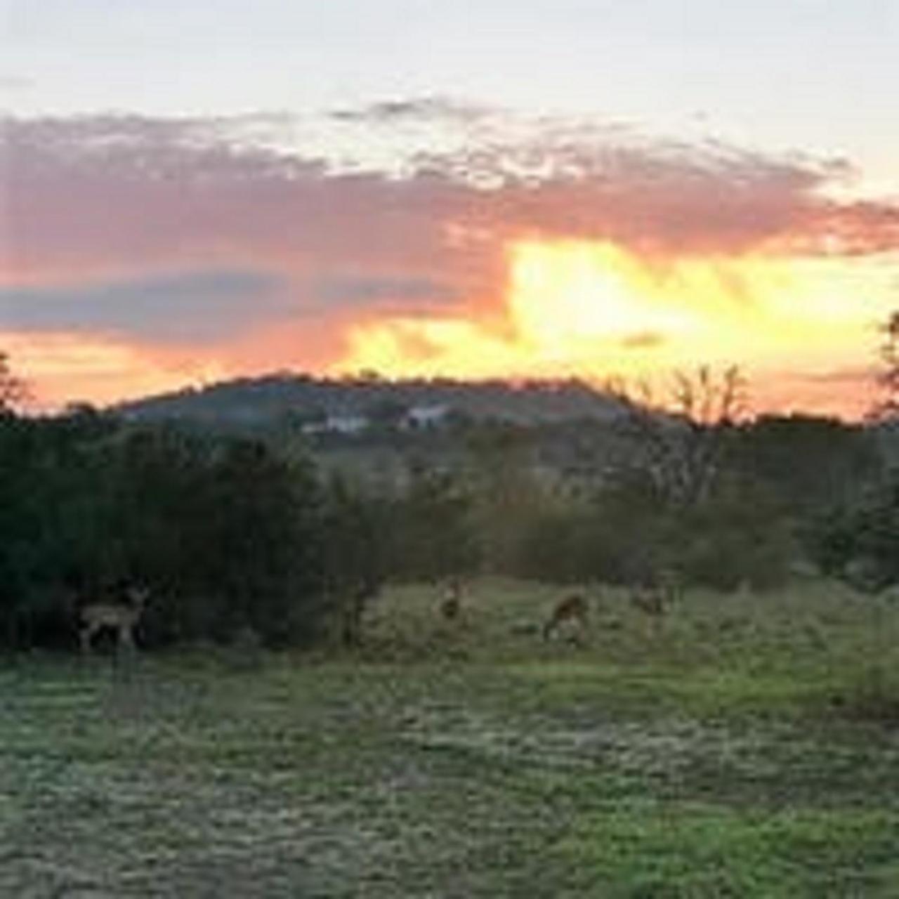 City On A Hill At Spring Creek Fredericksburg Kültér fotó