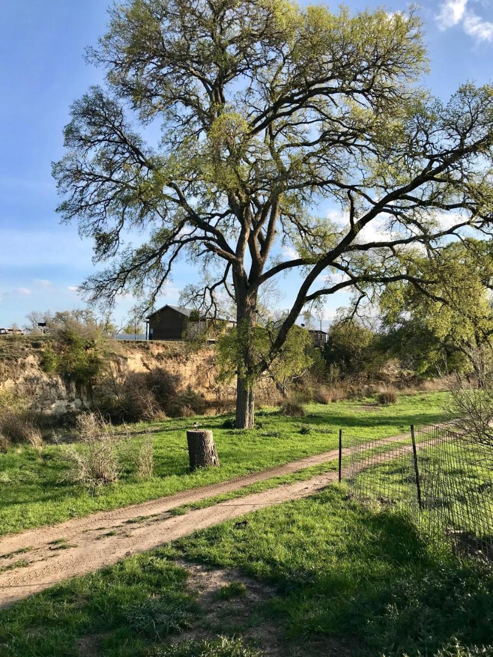 City On A Hill At Spring Creek Fredericksburg Kültér fotó